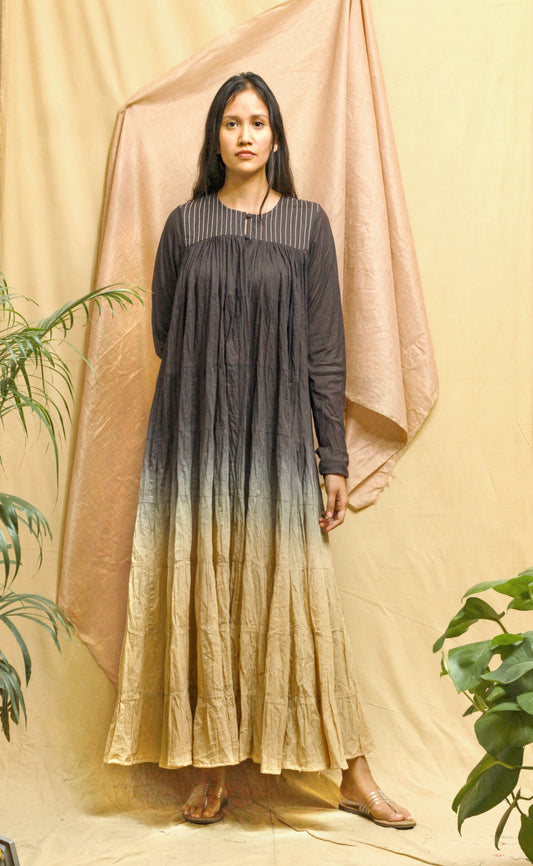 Charcoal Ombre Diascia