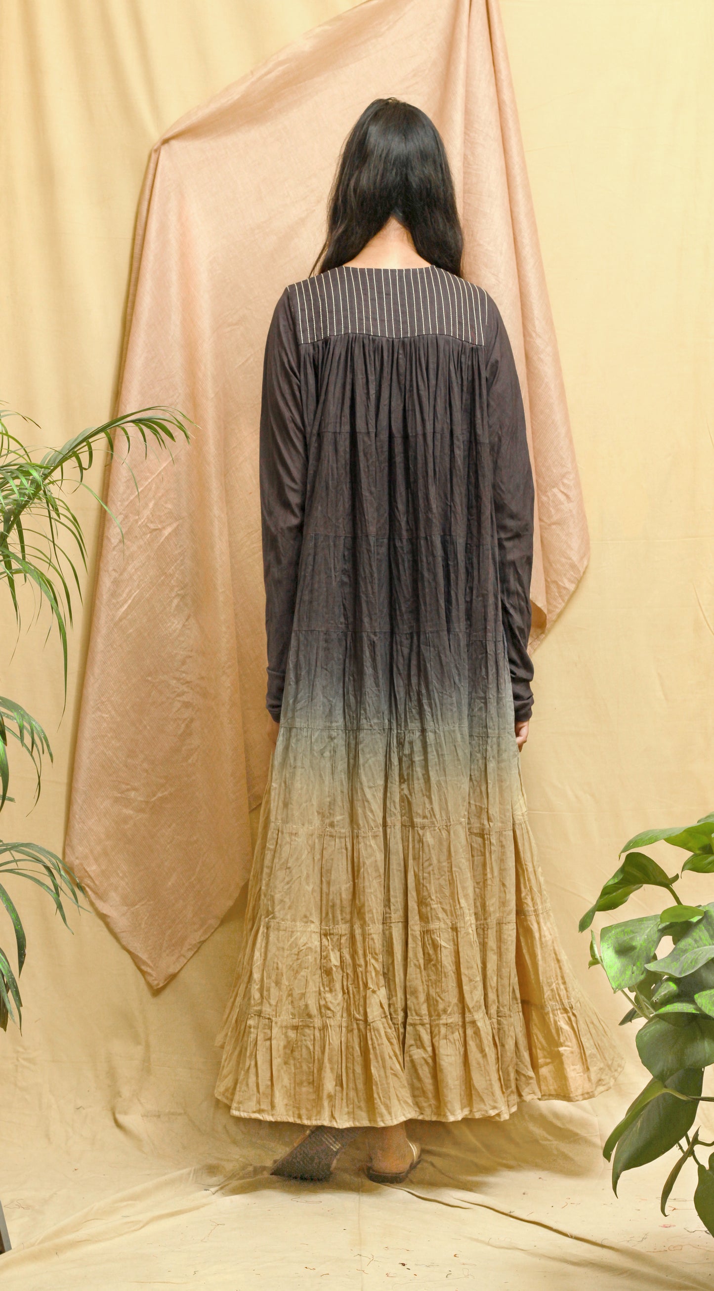 Charcoal Ombre Diascia