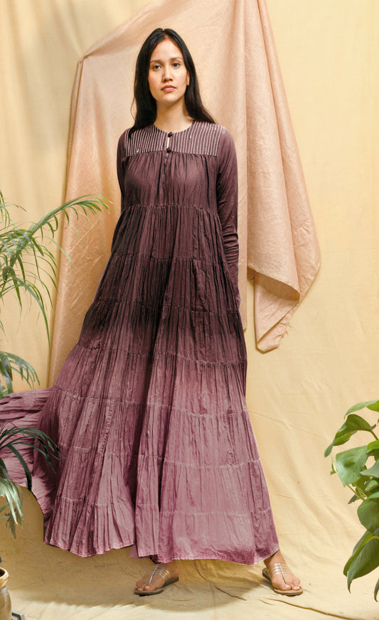 Burgundy Ombre Diascia