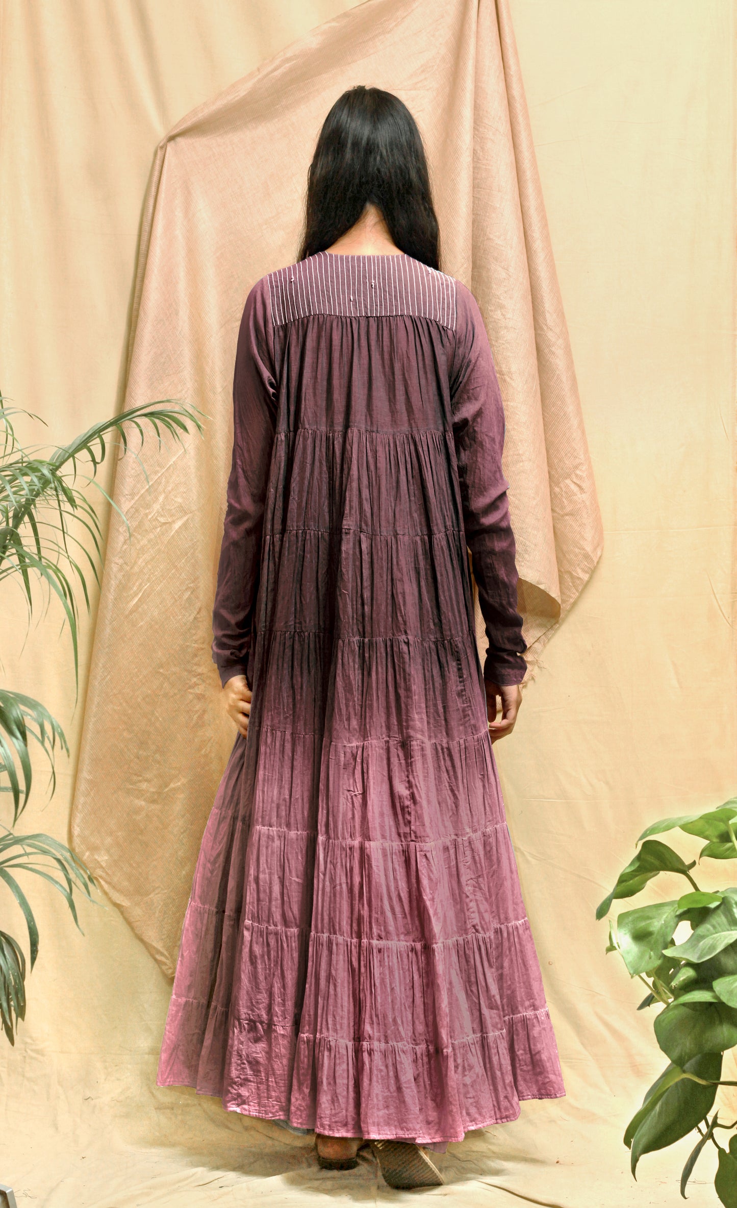 Burgundy Ombre Diascia