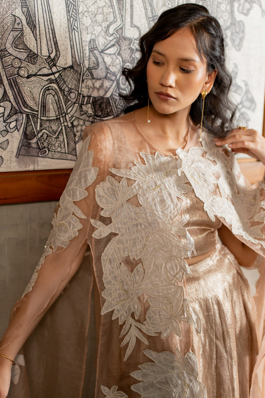 Kashish